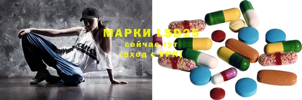 индика Наволоки