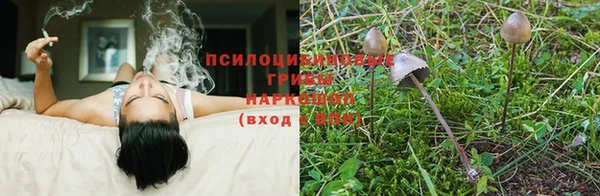 индика Наволоки