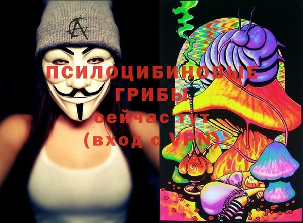 индика Наволоки
