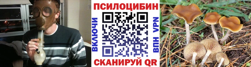 наркошоп  Макушино  Галлюциногенные грибы Psilocybe 